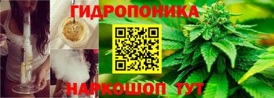 гашик Краснознаменск